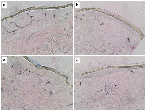 Fig. 8