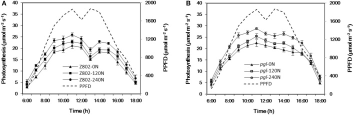 Figure 12