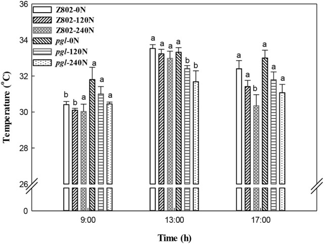 Figure 11