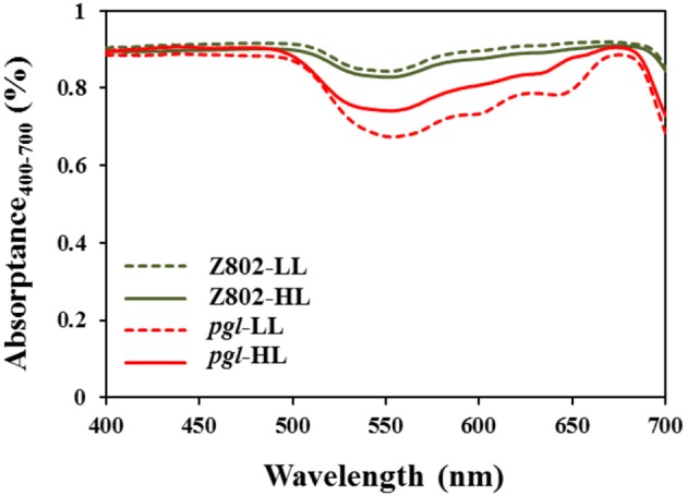 Figure 5