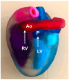 Figure 22