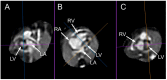 Figure 26