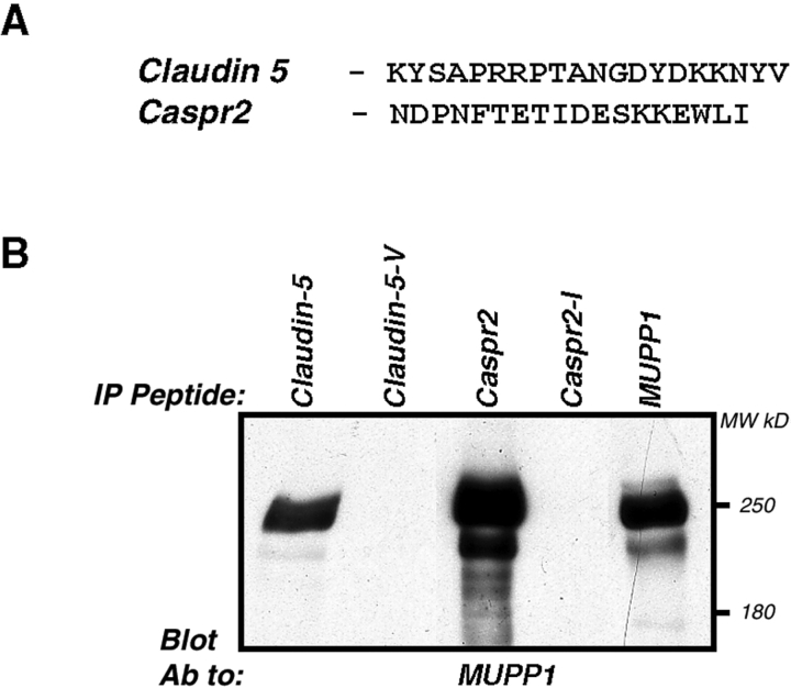 Figure 10.