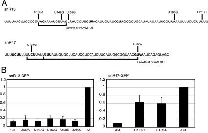 FIG. 4.