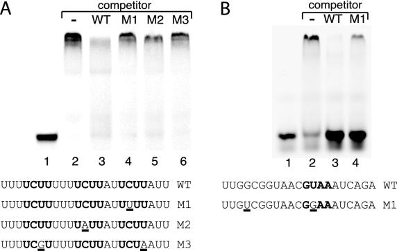 FIG. 6.