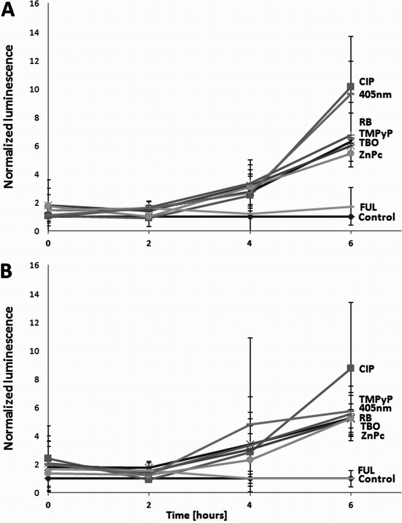 Fig. 7