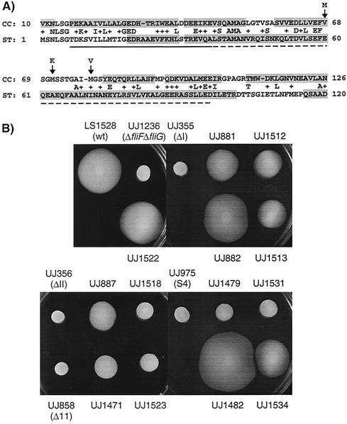 FIG. 8.