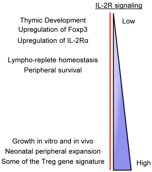 Fig.3