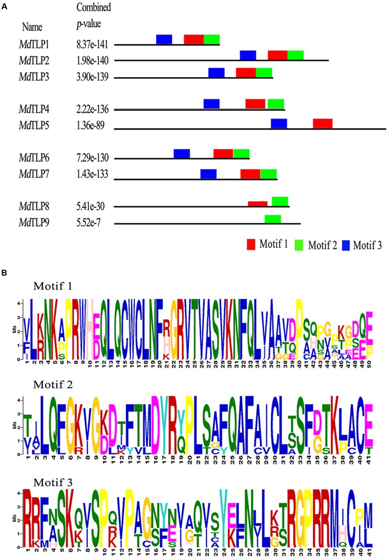 FIGURE 3