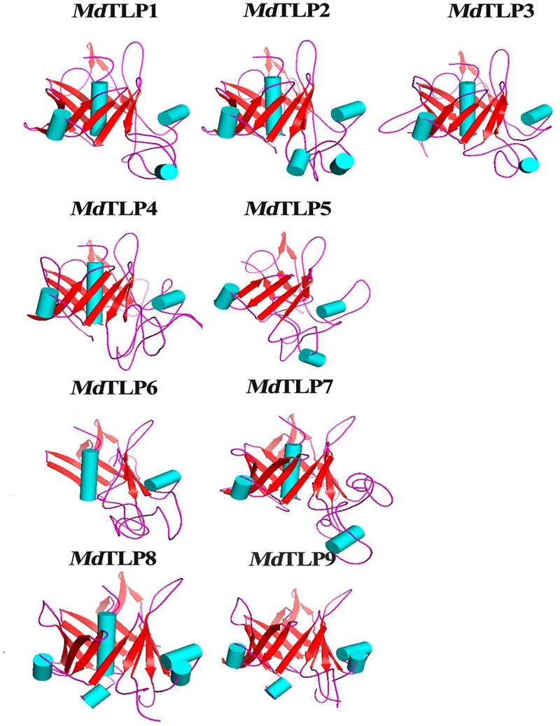 FIGURE 4