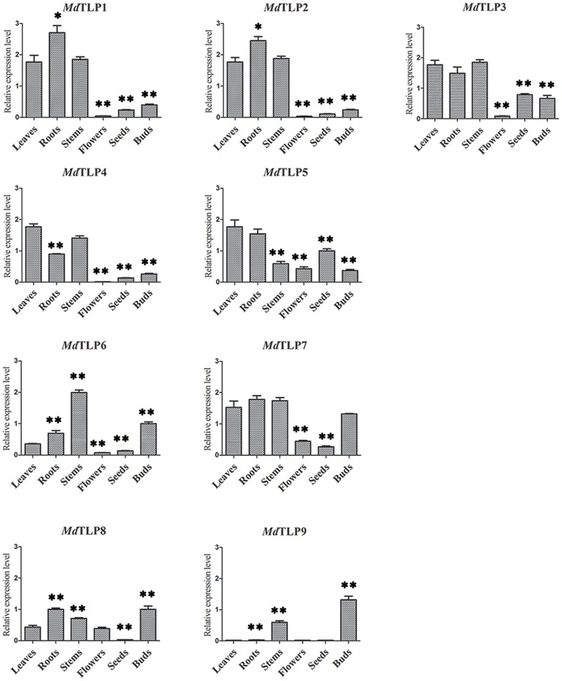 FIGURE 6