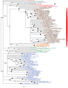 Figure 5—figure supplement 6.