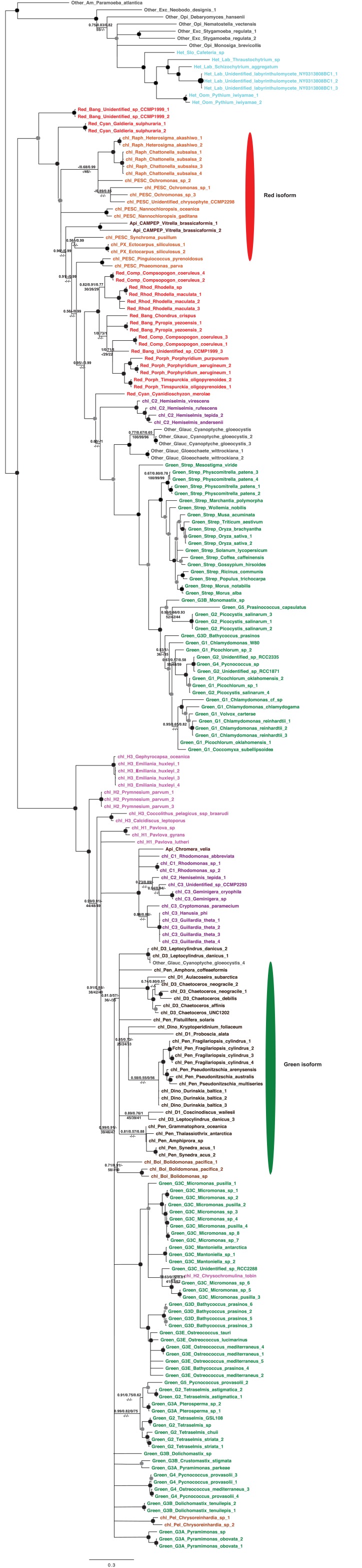 Figure 5—figure supplement 3.