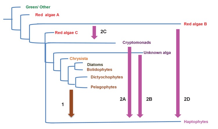 Figure 10—figure supplement 2.