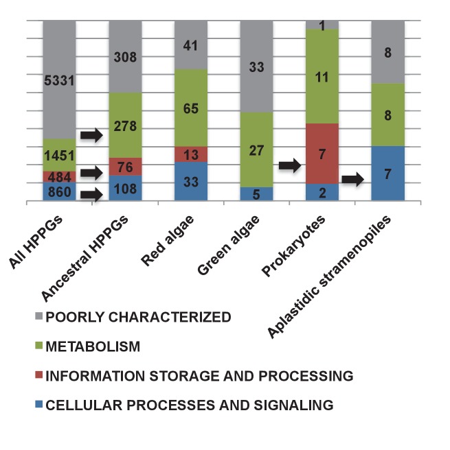 Figure 5—figure supplement 7.