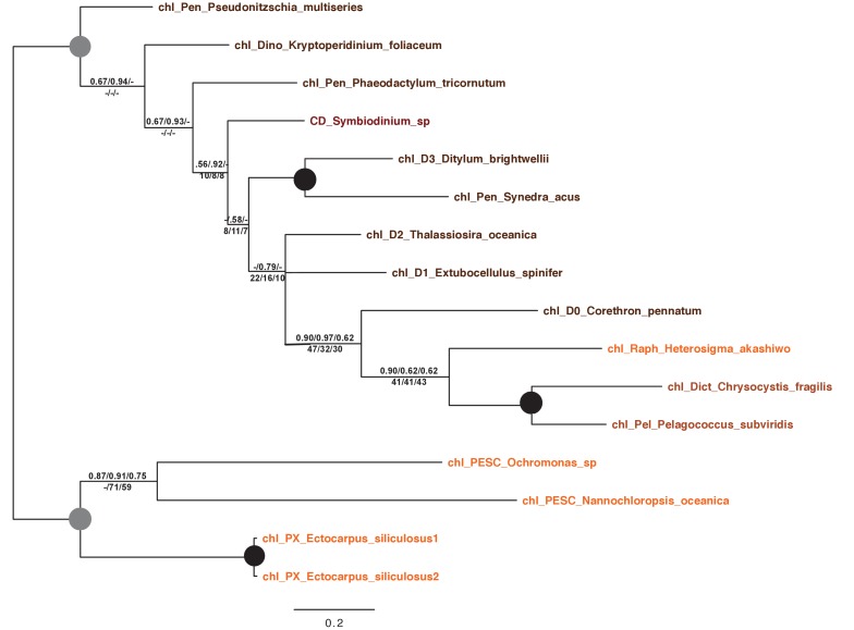 Figure 2—figure supplement 4.