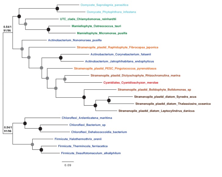 Figure 6—figure supplement 2.