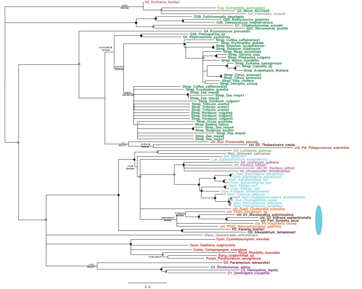 Figure 2—figure supplement 3.