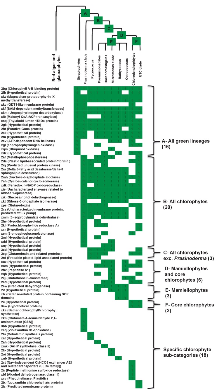 Figure 4—figure supplement 2.