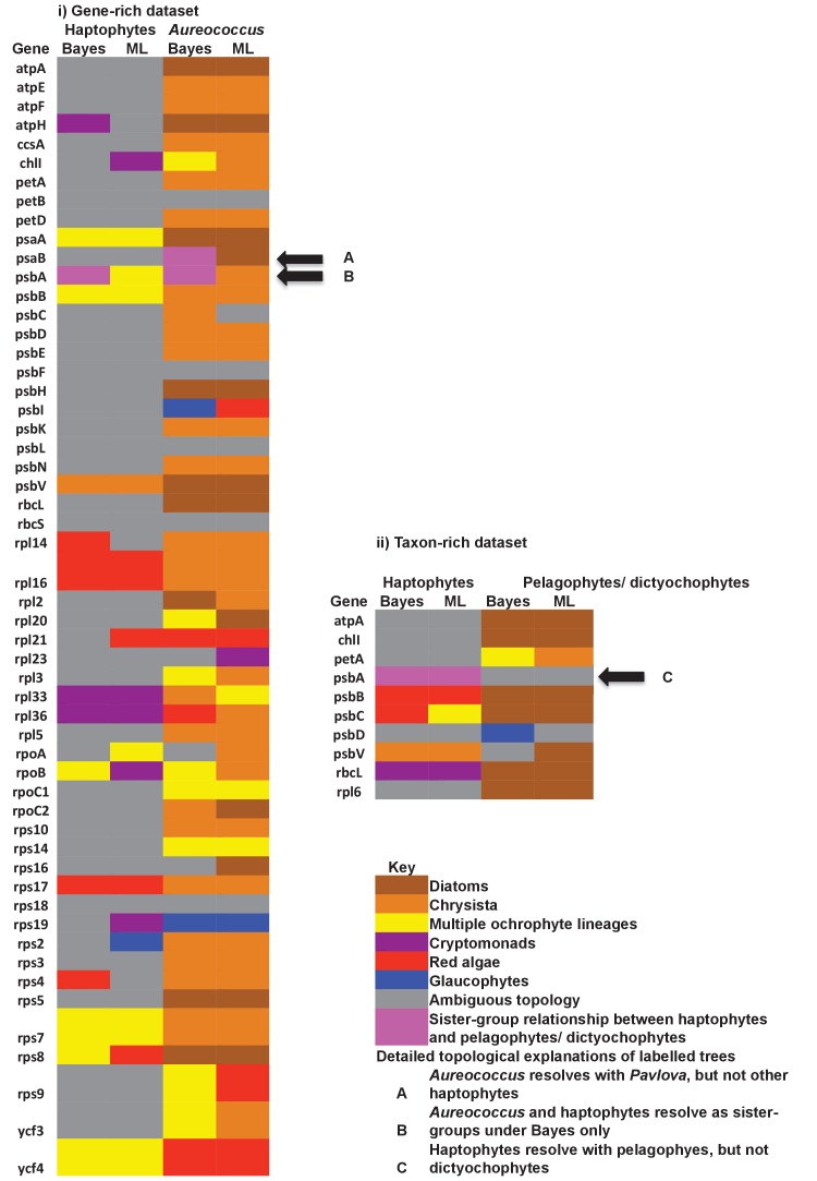 Figure 9—figure supplement 3.