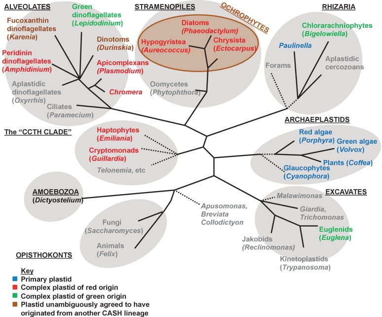 Figure 1—figure supplement 1.