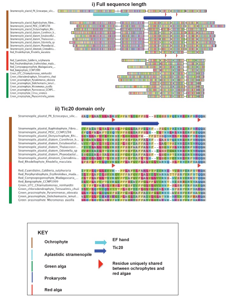 Figure 6—figure supplement 3.