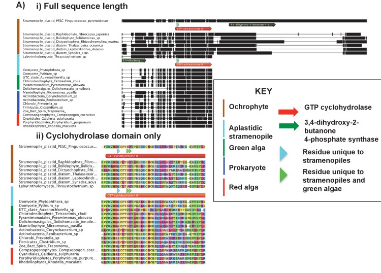 Figure 6—figure supplement 1.