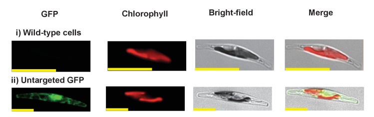 Figure 2—figure supplement 7.