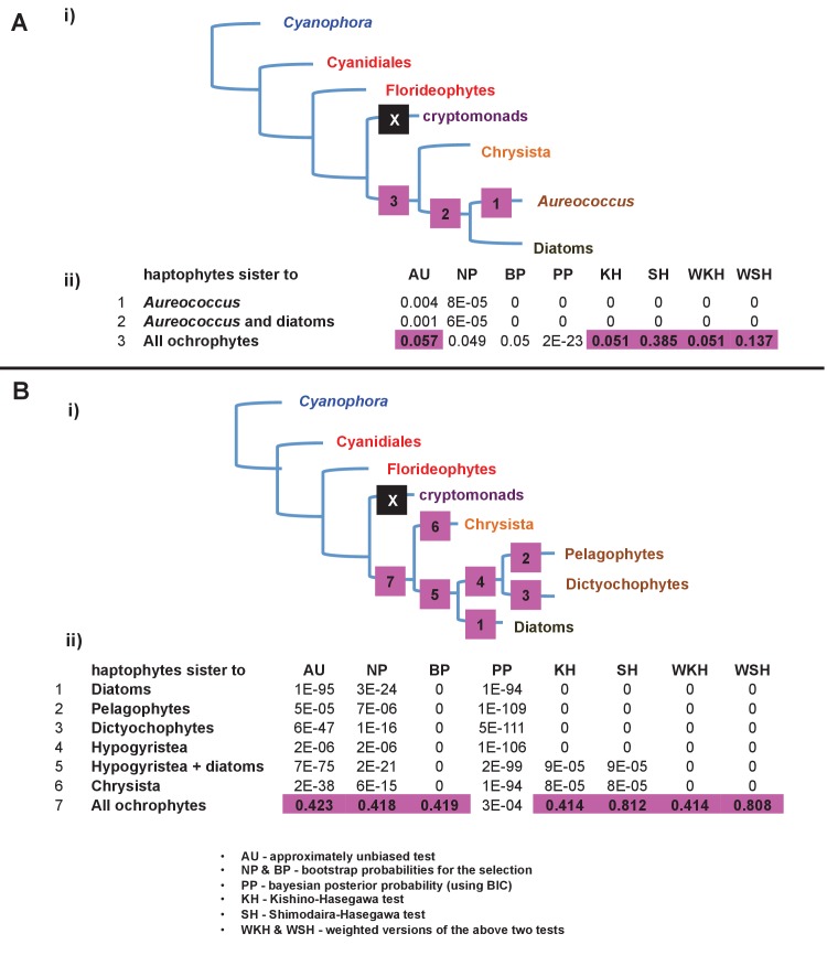 Figure 9—figure supplement 1.