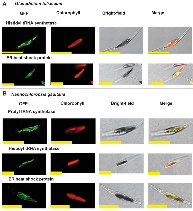 Figure 2—figure supplement 6.