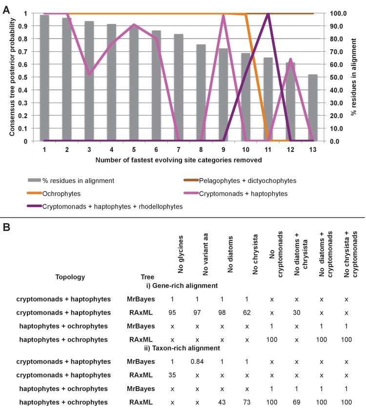 Figure 9—figure supplement 2.