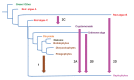 Figure 10—figure supplement 2.
