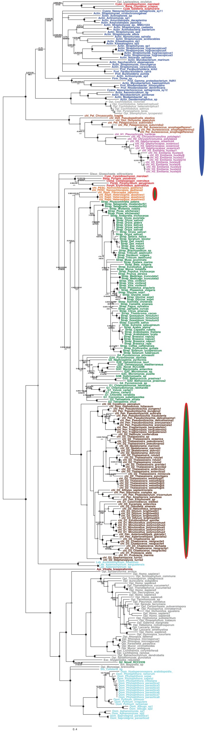 Figure 5—figure supplement 4.