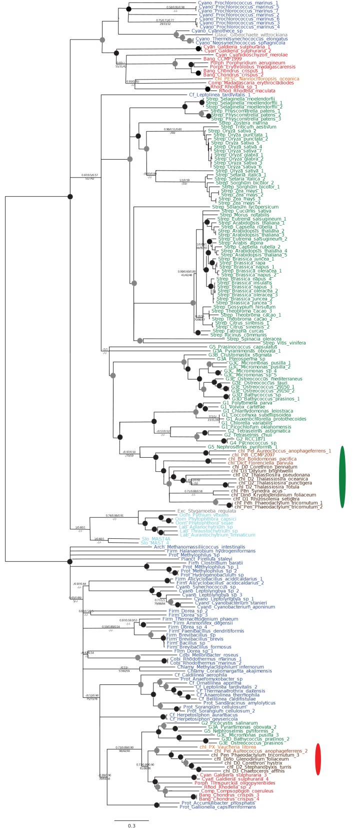 Figure 5—figure supplement 5.