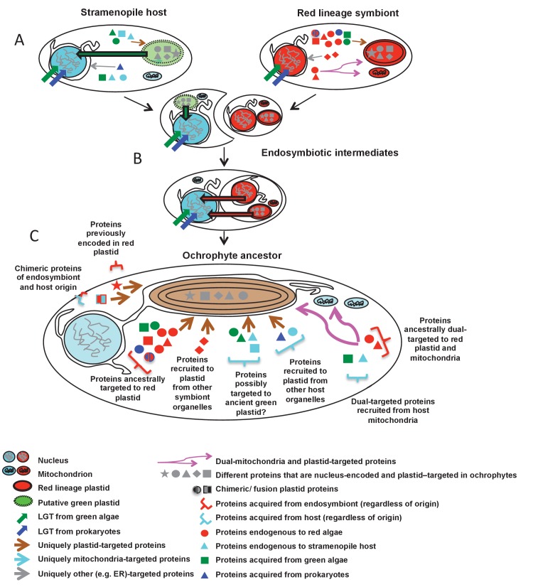 Figure 10.