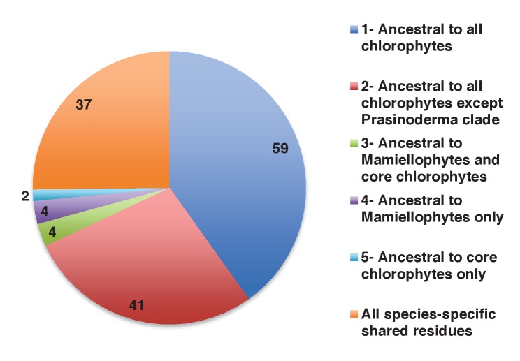 Figure 4—figure supplement 4.