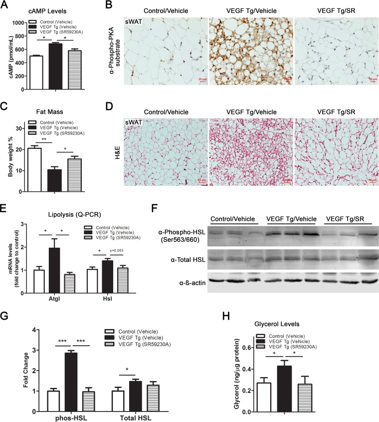 FIG 6