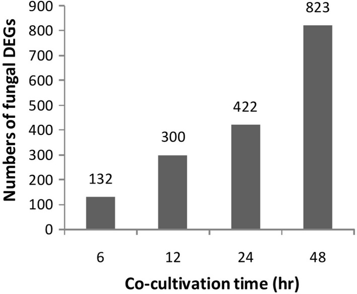 FIGURE 3