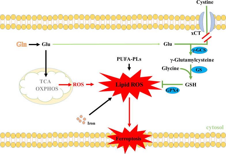 Figure 4