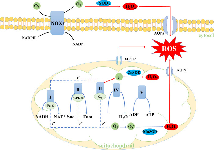 Figure 1