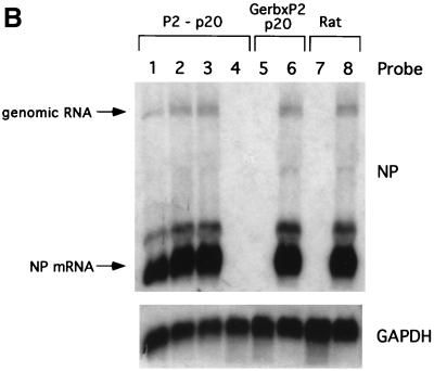 FIG. 7