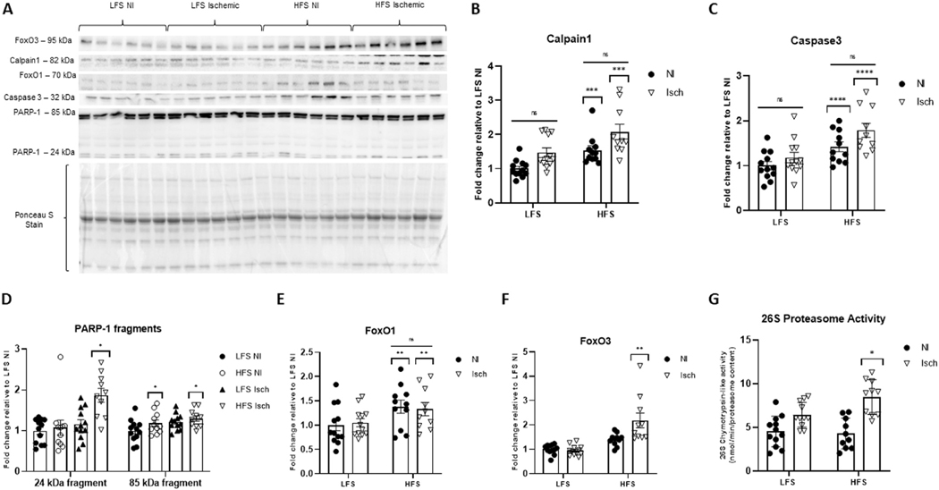 Fig 7.