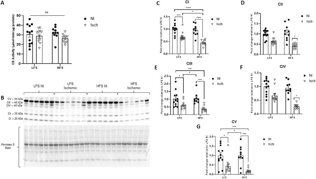 Fig 2.