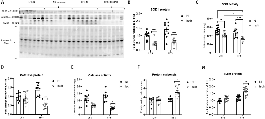 Fig 6.