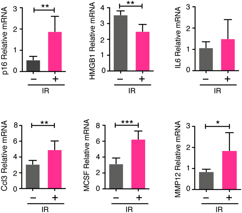 Figure 3: