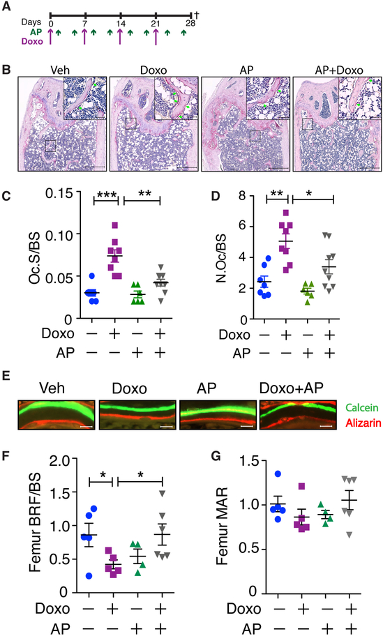 Figure 6: