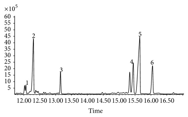 Figure 5