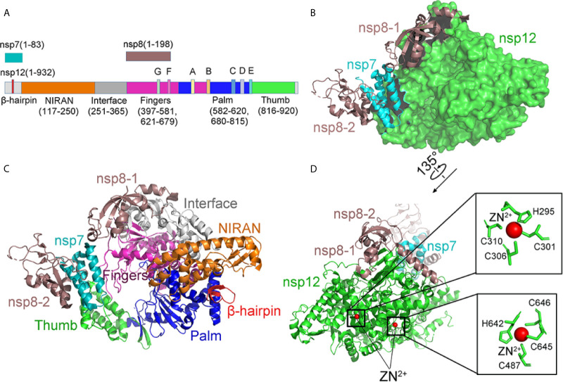 Figure 10