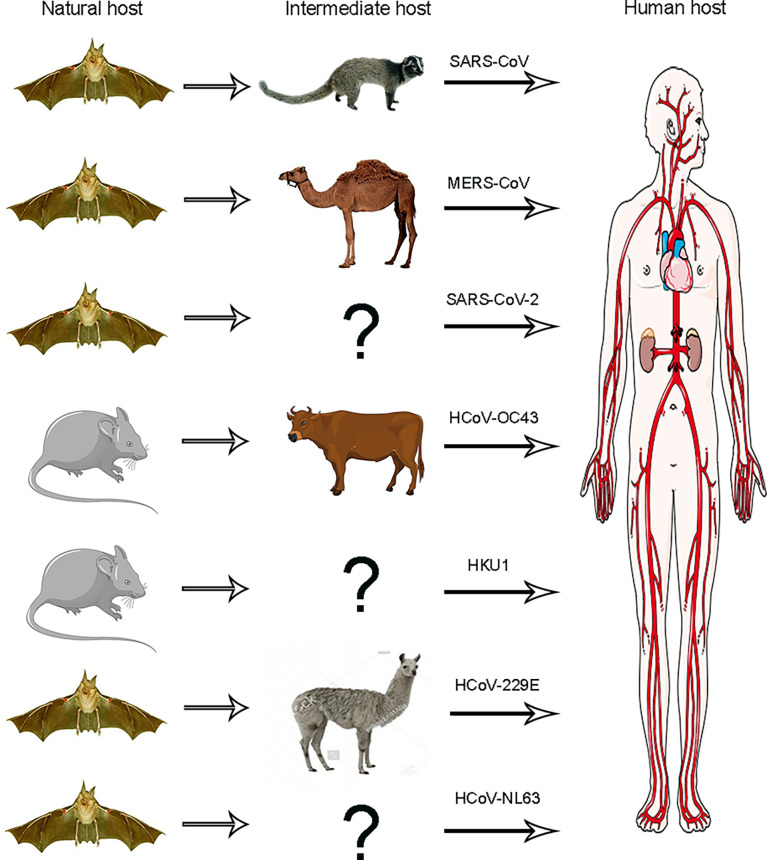 Figure 2