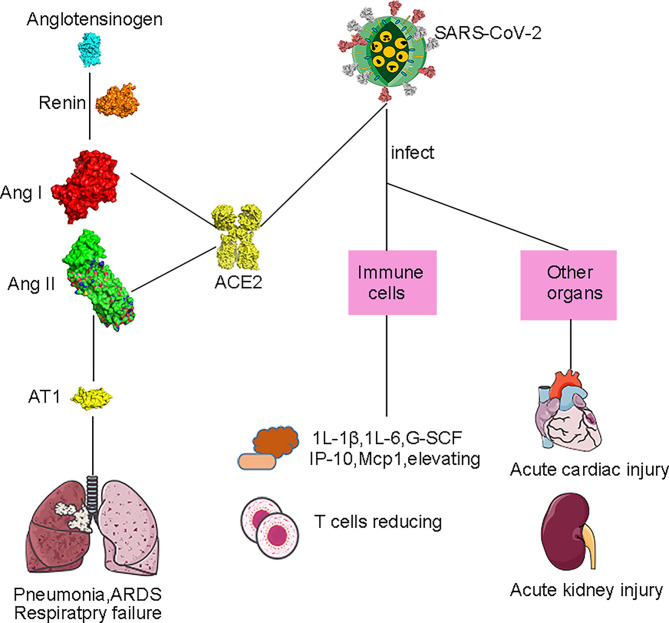 Figure 4